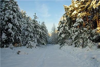 《GTA6》首支预告片上线时间早在几个月前就被“公开”了